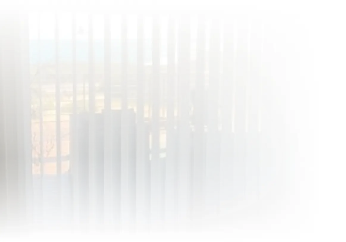 Lets Clear Things Up About Veri Shades