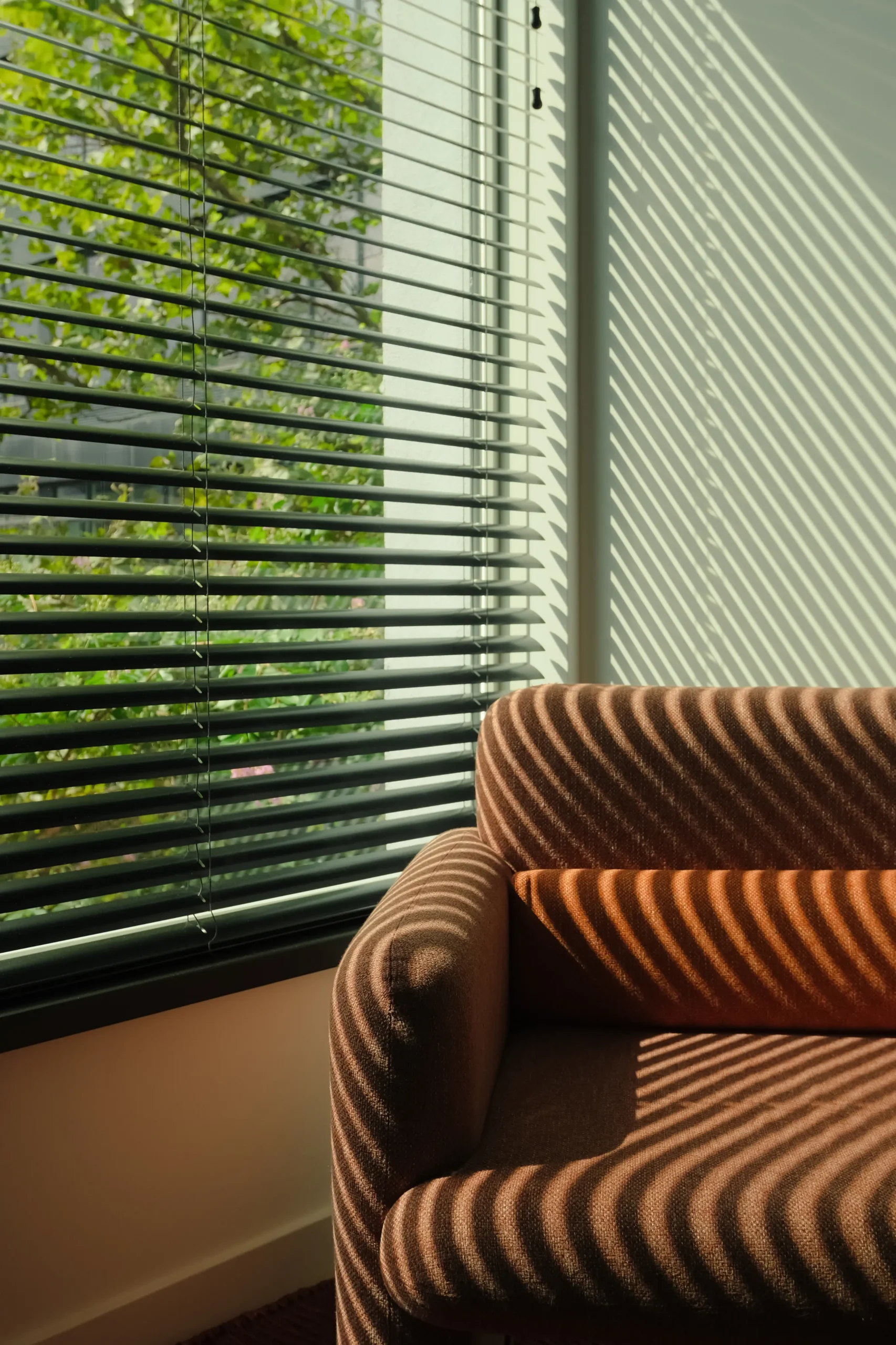 Why Were The Smart Choice for Your Blinds scaled